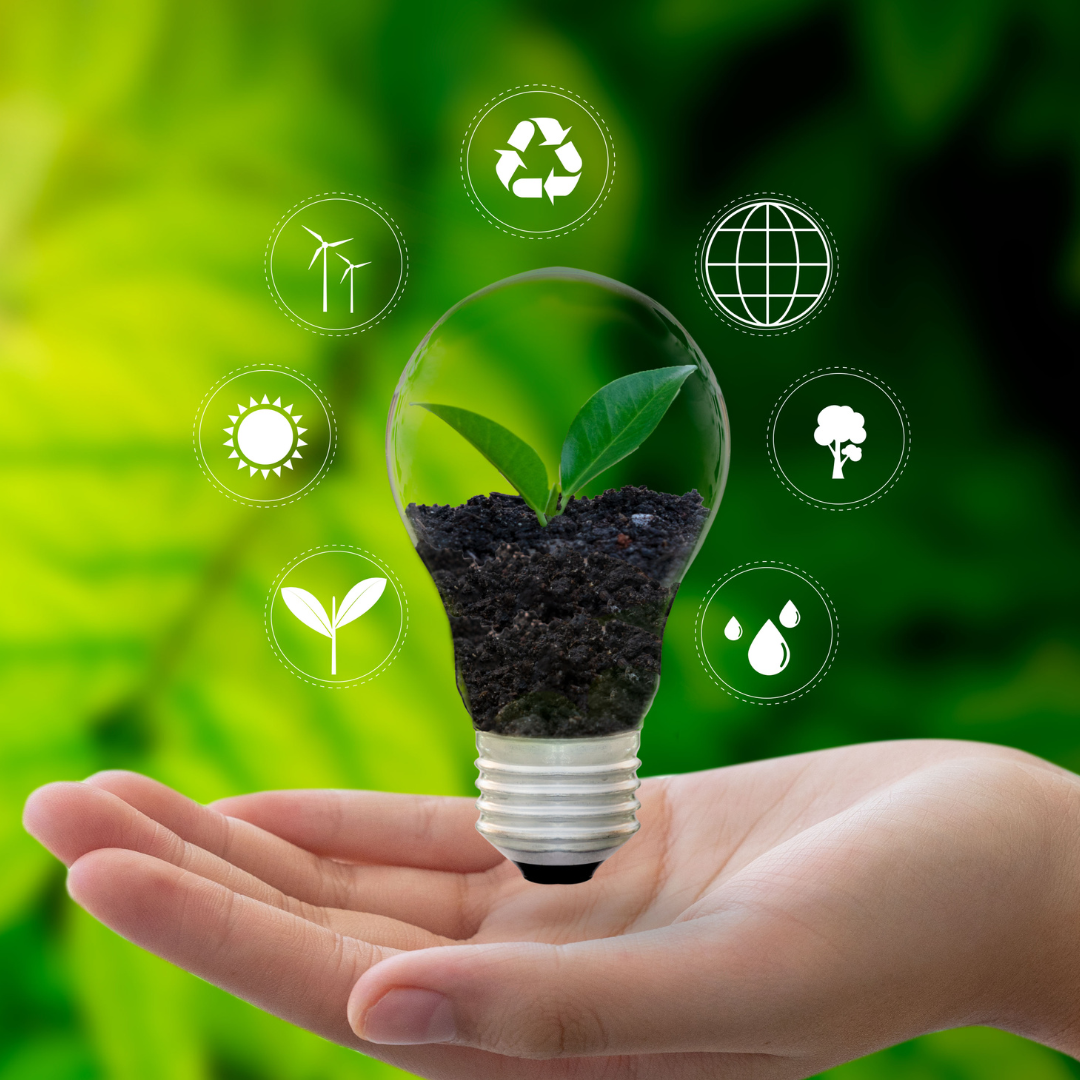 CURSO DE INICIACIÓN A EMPLEOS VERDES